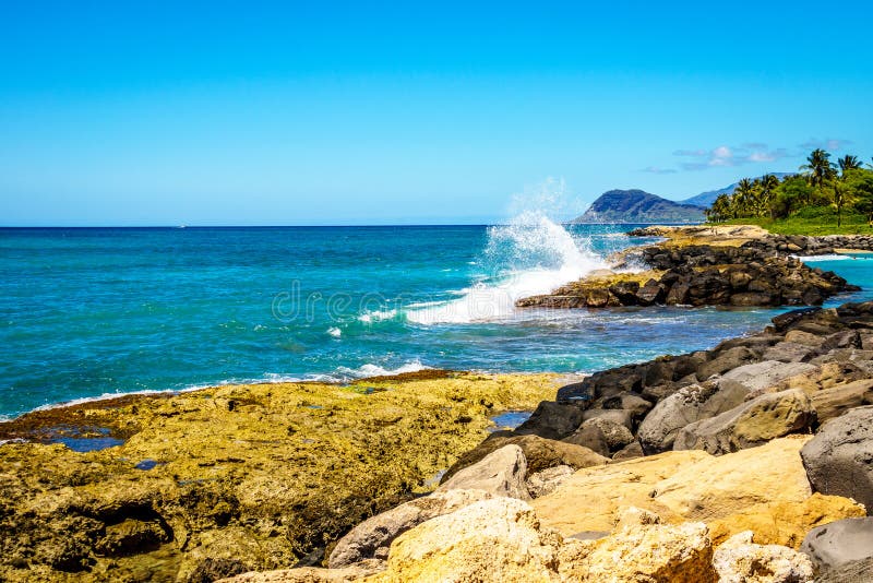 Vågor av Stilla havet som kraschar på den steniga shorelinen av västkusten av ön av Oahu royaltyfria bilder