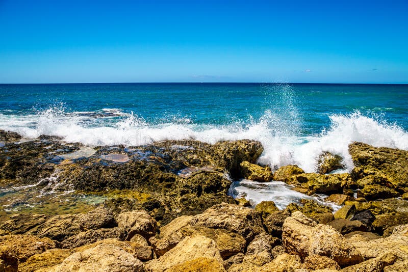 Vågor av Stilla havet som kraschar på, vaggar på shorelinen av Ko Olina royaltyfri bild