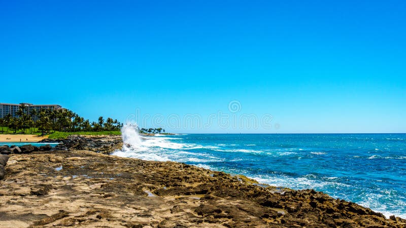 Vågor av Stilla havet som kraschar på, vaggar på shorelinen av Ko Olina royaltyfri foto