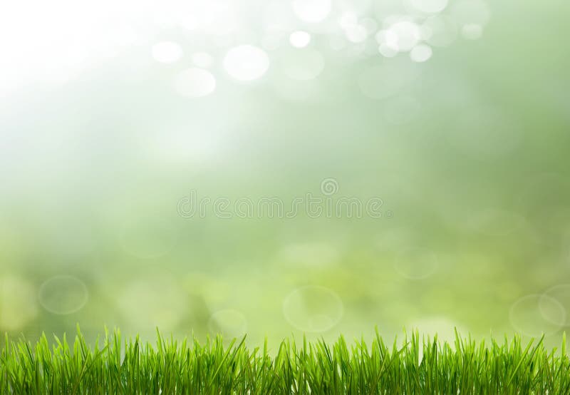 Spring or summer season abstract nature background with grass and blue sky in the back. Spring or summer season abstract nature background with grass and blue sky in the back