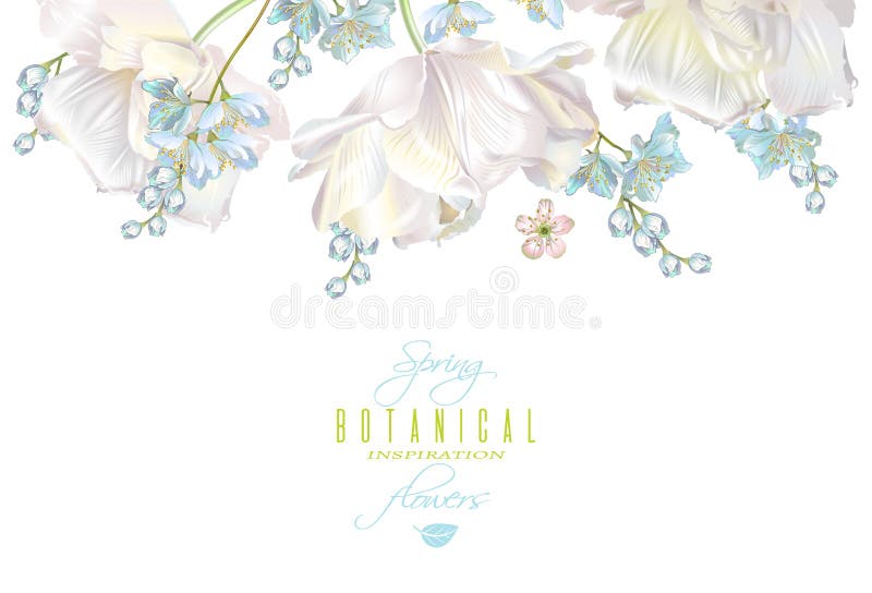 Vårblommabaner royaltyfri illustrationer