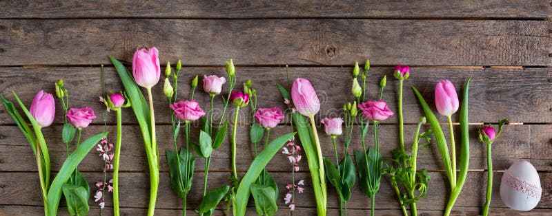 Våren blommar med det easter ägget arkivbild Våren blommar med det easter ägget arkivbild