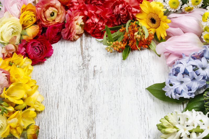Våren blommar på träbakgrund royaltyfri fotografi Våren blommar på träbakgrund royaltyfri fotografi