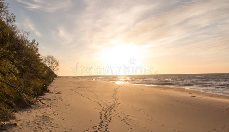 Våren går längs den tomma baltiska havsstranden arkivfoto
