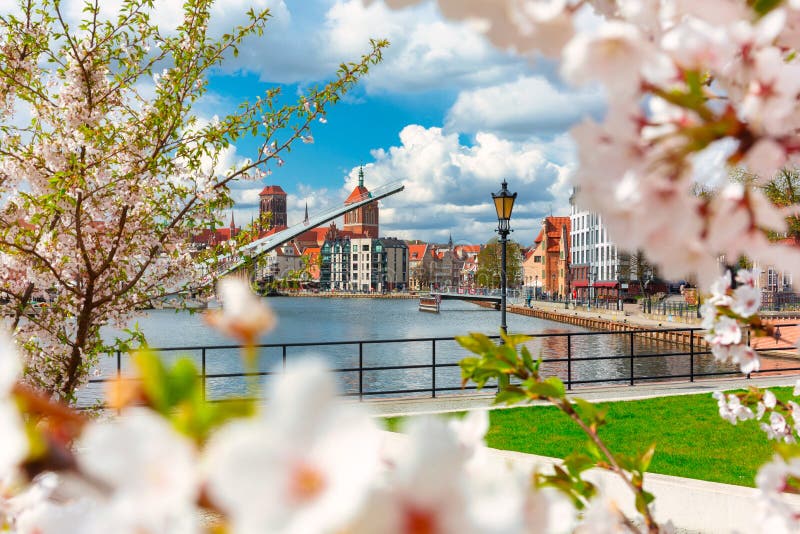 Våren i den gamla staden i Gdańsk kring blommande träd. poland royaltyfri fotografi