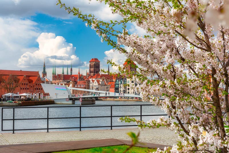 Våren i den gamla staden i Gdańsk kring blommande träd. poland arkivfoton