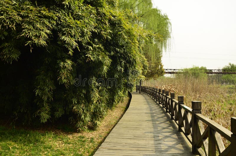 Vårlandskapet av Suzhou, Kina arkivfoto