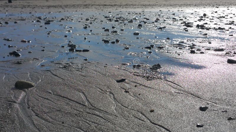 Våt stenig strand arkivfoto Våt stenig strand arkivfoto