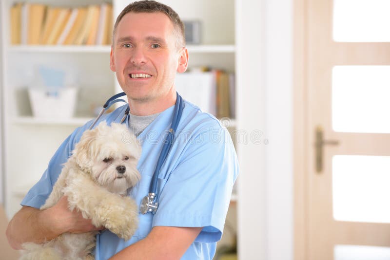 Vétérinaire heureux avec le chien photos stock Vétérinaire heureux avec le chien photos stock