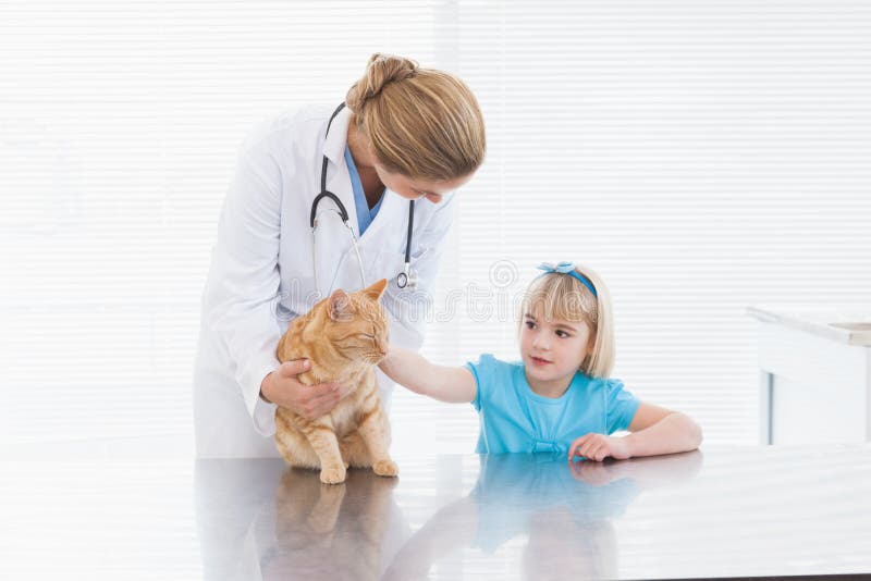 Vétérinaire tenant un chat