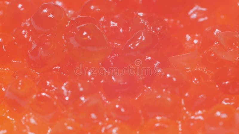 Vídeo de macro caviar vermelho girando. adequado para anúncios de texto. fundo de vídeo alimentar