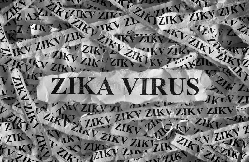 Vírus de Zika fotografia de stock Vírus de Zika fotografia de stock