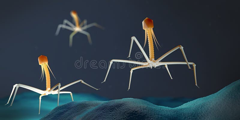 Vírus do bacteriófago ou do fago que ataca e que contamina bactérias ilustração do vetor Vírus do bacteriófago ou do fago que ataca e que contamina bactérias ilustração do vetor