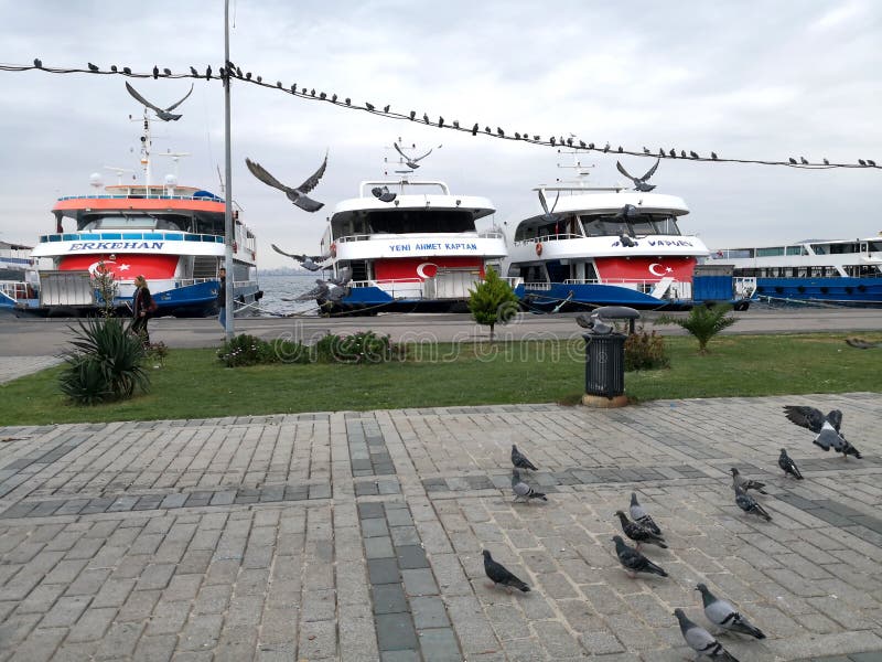 Vögel und Schiffe in der Insel von Prinzessinnen Buyukada lizenzfreie stockfotografie Vögel und Schiffe in der Insel von Prinzessinnen Buyukada lizenzfreie stockfotografie