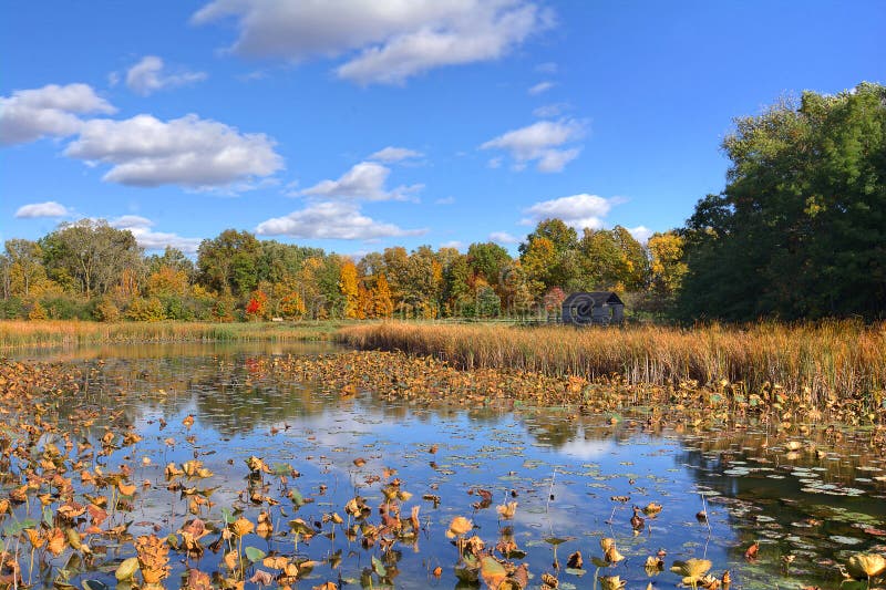 W.W. Knight Nature Preserve