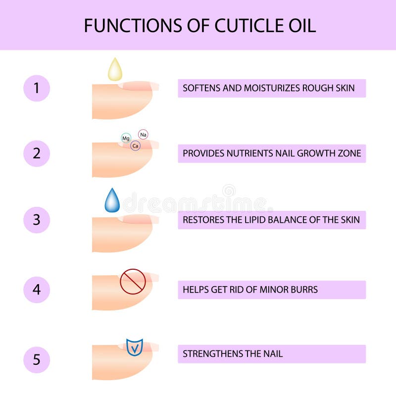 Why use cuticle oil. Professional manicure guide, Vector, infographics. Why use cuticle oil. Professional manicure guide, Vector, infographics