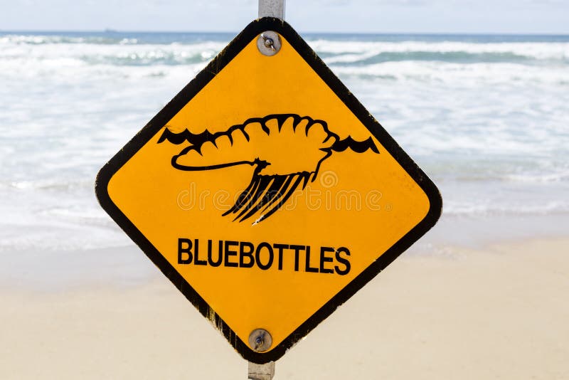 Waarschuwingsseinen op het strand stock fotografie Waarschuwingsseinen op het strand stock fotografie