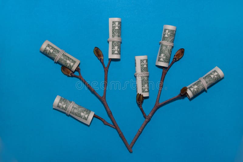 Wachsender Geld-Baum Getrennt auf Weiß Anlage mit den jungen Knospen in einem Papiergeld stockfotos Wachsender Geld-Baum Getrennt auf Weiß Anlage mit den jungen Knospen in einem Papiergeld stockfotos