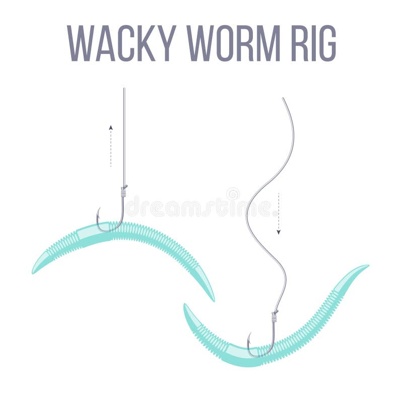 https://thumbs.dreamstime.com/b/wacky-worm-rig-catching-predatory-bass-fish-spinning-rod-braided-fishing-line-hook-wacky-worm-rig-catching-139930334.jpg