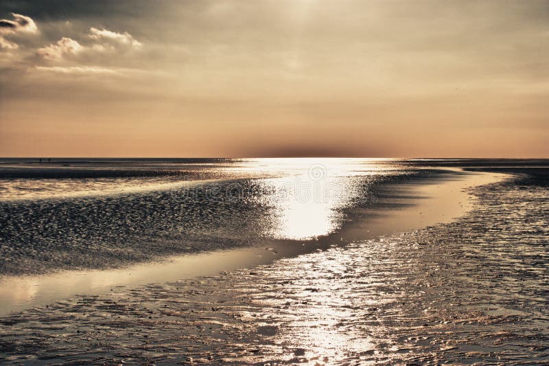 Wadden Sea