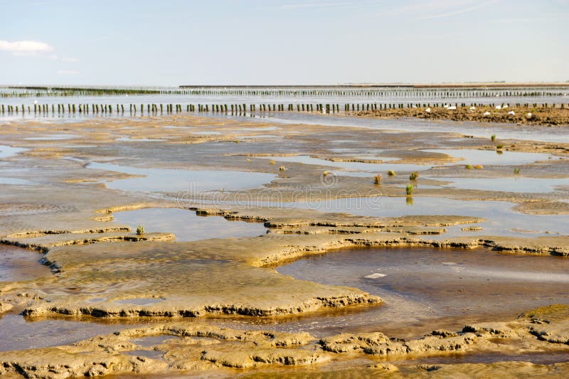Wadden sea in Holland