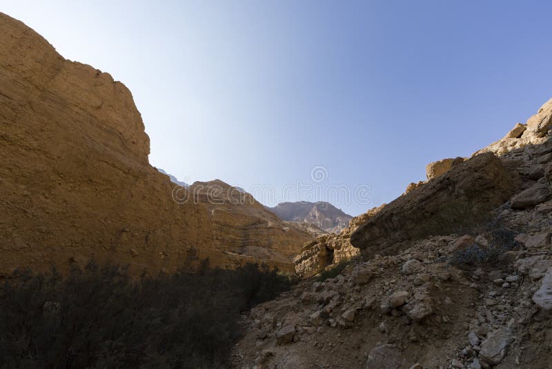 Wadi Arugot River, Ein Gedi Nature Reserve, Dead Sea, Israel Stock