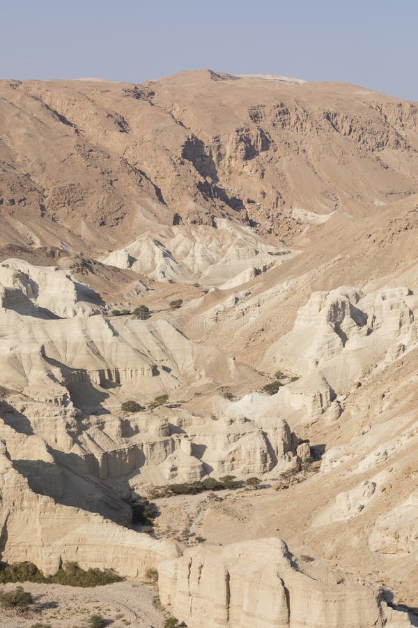 Wadi Arugot River, Ein Gedi Nature Reserve, Dead Sea, Israel Stock