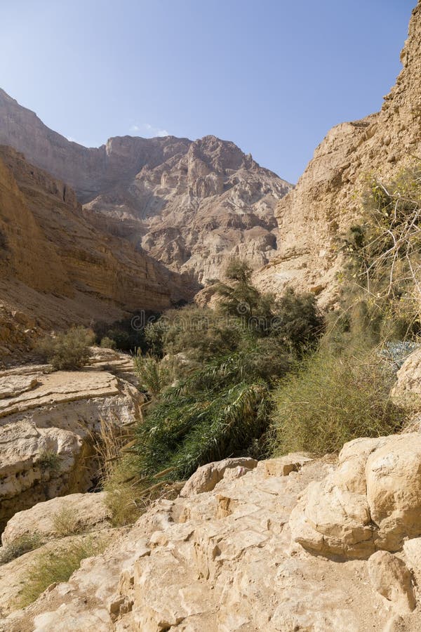 Wadi Arugot River, Ein Gedi Nature Reserve, Dead Sea, Israel Stock