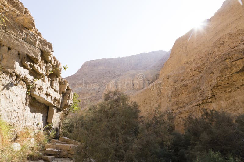 Wadi Arugot River, Ein Gedi Nature Reserve, Dead Sea, Israel Stock