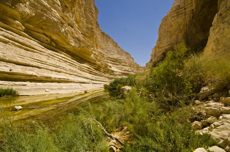 Wadi Ein Avdat Negev, Israel royaltyfria bilder Wadi Ein Avdat Negev, Israel royaltyfria bilder