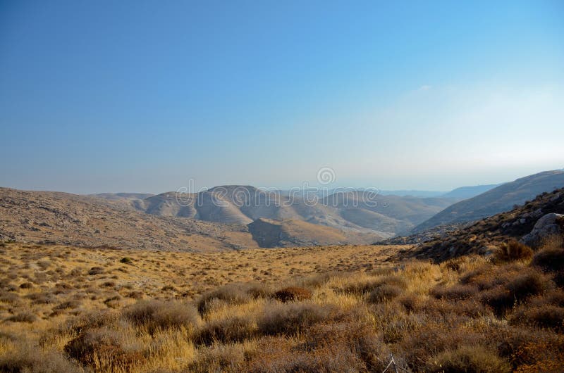 Wadi Kelt Nahal Prat, in the Judean Desert, Israel. Nature reserve on a clear day, blue sky. Selective focus