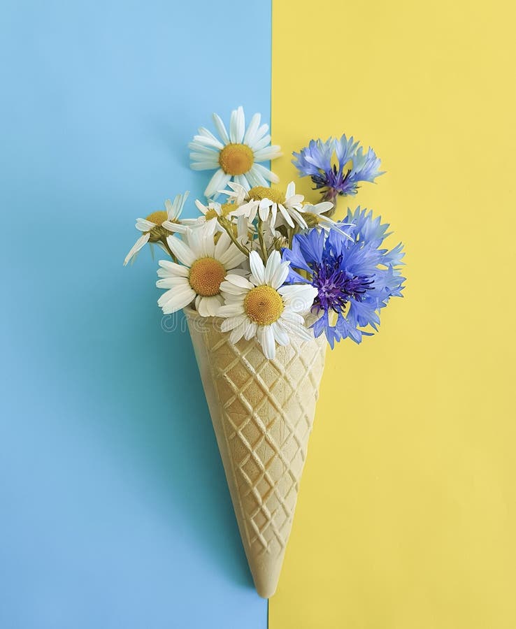 Waffle ice cream chamomile creative and cornflower on blue background royalty free stock photography Waffle ice cream chamomile creative and cornflower on blue background royalty free stock photography