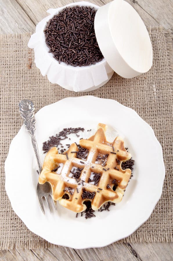 Waffle With Powdered Sugar On Plate Stock Photo Image of table, icing 109505106