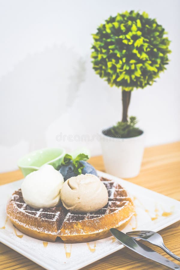 Waffle with Triple Scoop Ice-cream on top and served with maple syrup on white china plate royalty free stock photography