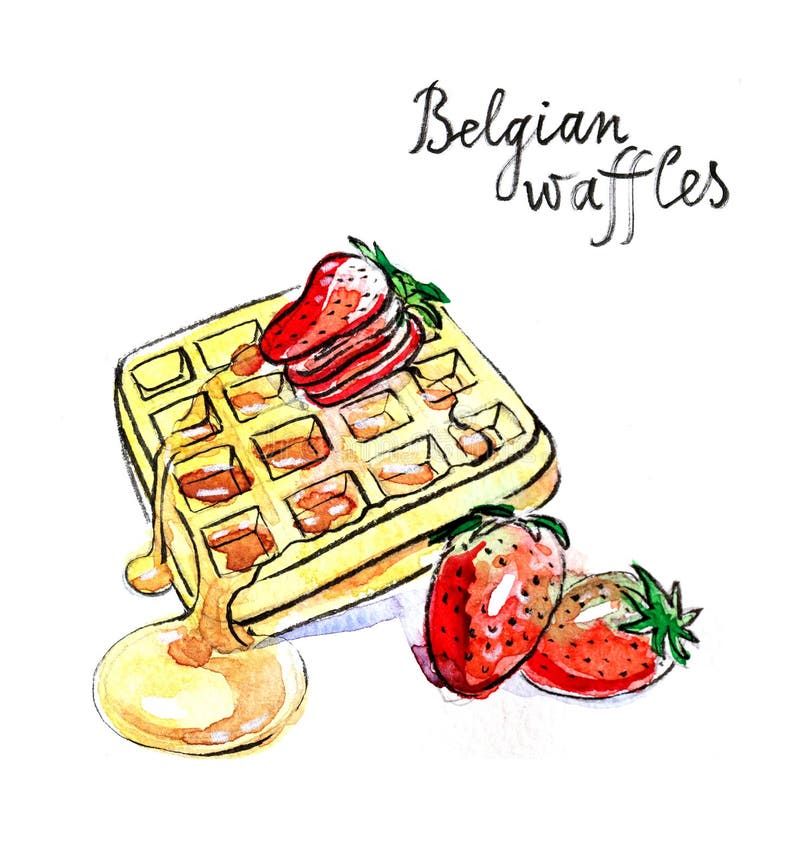 Watercolor hand drawn Belgian waffles - Illustration. Watercolor hand drawn Belgian waffles - Illustration