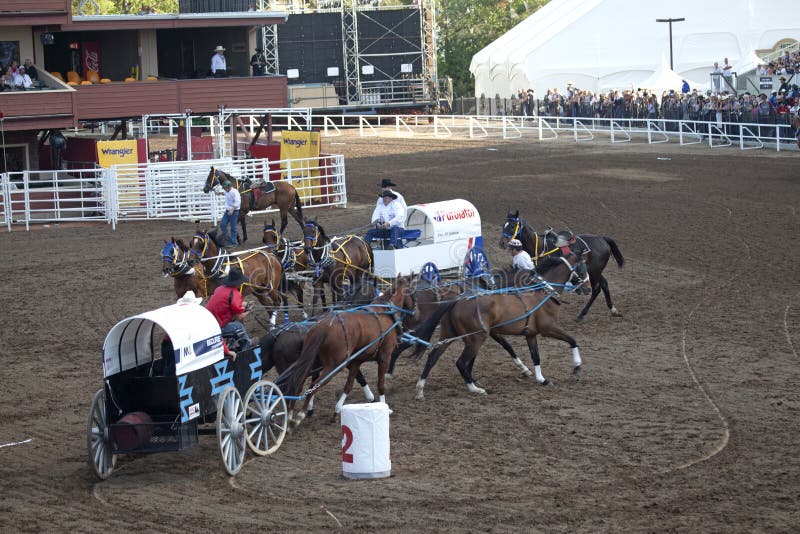 Wagon and horses Calgary editorial stock image. Image of city 42946514