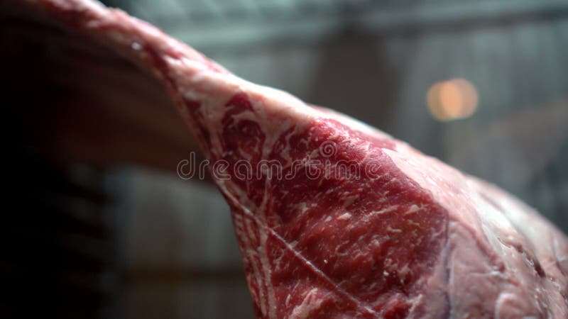 Wagyu black Angus tomahawk beef rack dry aged in chilled fridge luxury restaurant