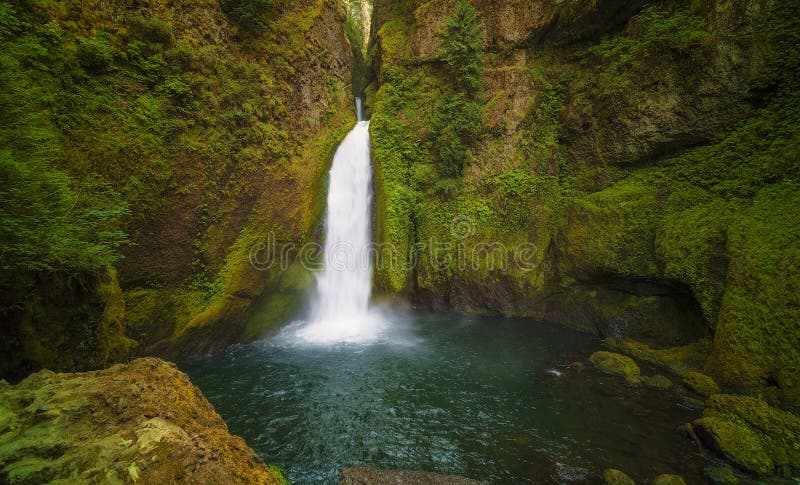 Wahclella Falls Columbia River Gorge. Wahclella Falls cascades through basalt rock in the Columbia River Gorge royalty free stock images Wahclella Falls Columbia River Gorge. Wahclella Falls cascades through basalt rock in the Columbia River Gorge royalty free stock images
