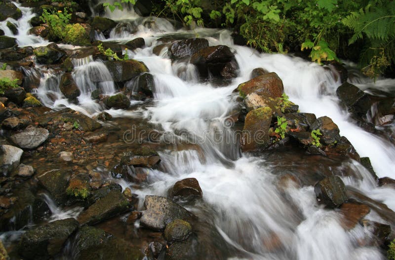 Wahkeena Falls