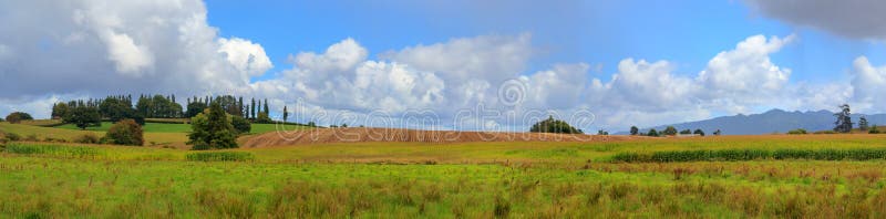 Waikato krajobraz odpowiada panoramicznego widok fotografia stock