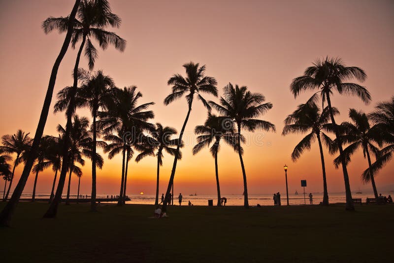 waikiki захода солнца Гавайских островов стоковые изображения waikiki захода солнца Гавайских островов стоковые изображения