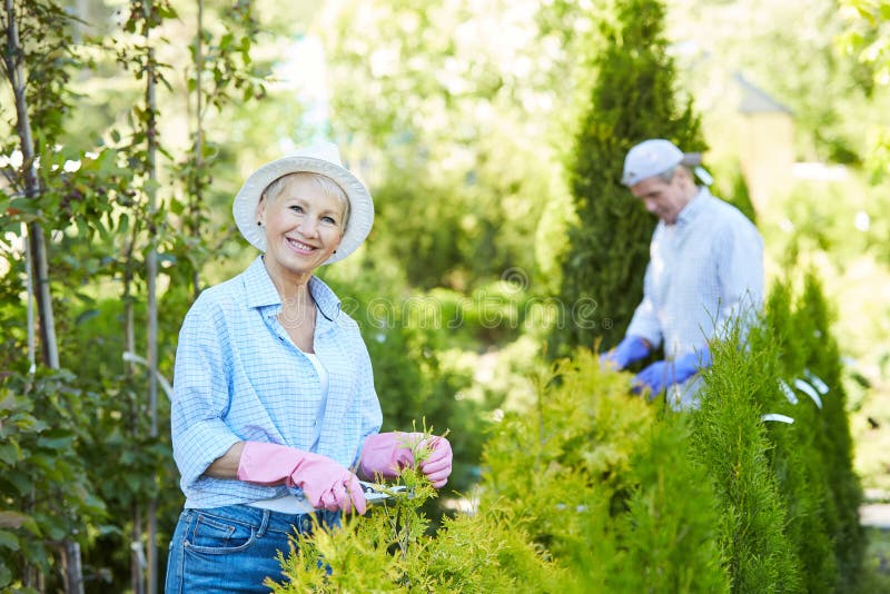 Waist up portrait of smiling woman trimming bushes and looking at camera while gardening, copy space. Waist up portrait of smiling woman trimming bushes and looking at camera while gardening, copy space