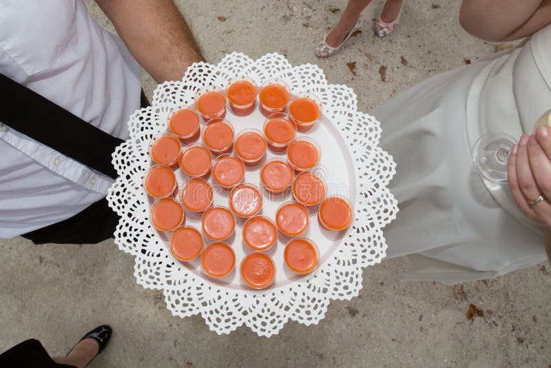 Waiter presents carpaccio to the bride stock photography