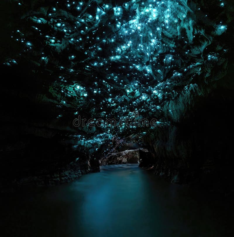 Waitomo Glowworm Caves Waikato New Zealand North Island Stock Image