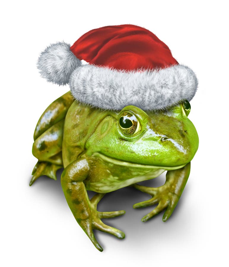 Holiday frog as a green amphibian wearing a Christmas hat as a festive symbol of nature and conservation during the season of gift giving on a white background. Holiday frog as a green amphibian wearing a Christmas hat as a festive symbol of nature and conservation during the season of gift giving on a white background.