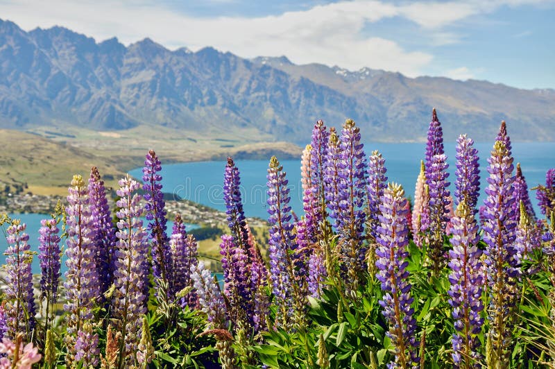 Wakatipu jezioro blisko Queenstown, Nowa Zelandia zdjęcia royalty free Wakatipu jezioro blisko Queenstown, Nowa Zelandia zdjęcia royalty free