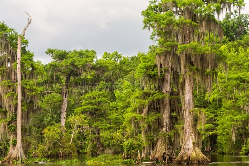 Wakulla Springs State Park