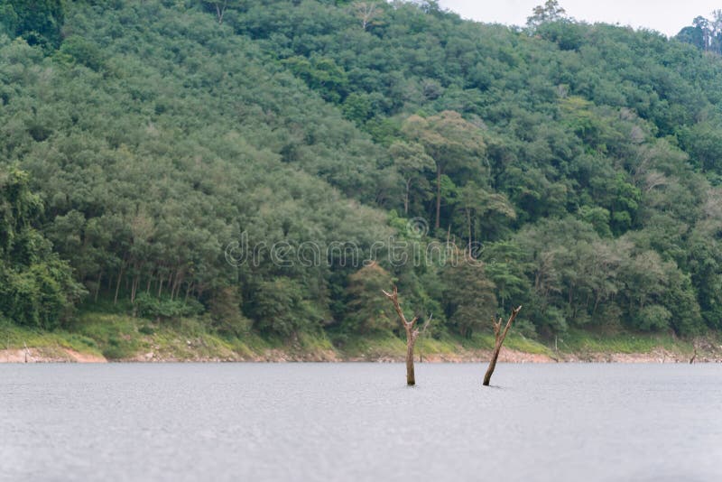 Wald- und Wasserlandschaft bei Hala-Bala Wildlife Sanctuary stockfotografie Wald- und Wasserlandschaft bei Hala-Bala Wildlife Sanctuary stockfotografie