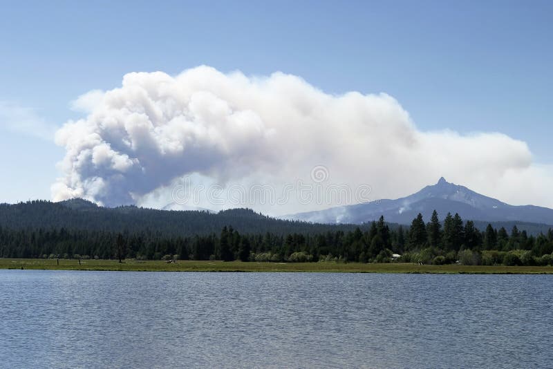 Waldbrand-Rauch-Abschluss stockfotografie Waldbrand-Rauch-Abschluss stockfotografie