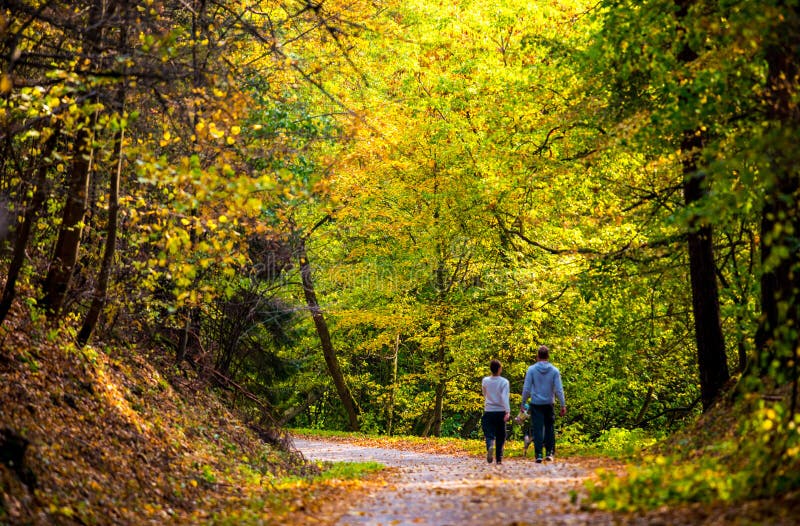 Waldweg und ein Paargehen stockfotos Waldweg und ein Paargehen stockfotos